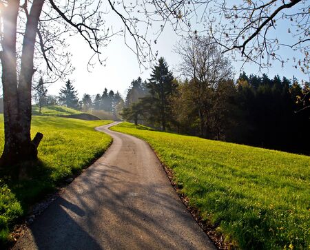 Local road at farm ville, Switzerland