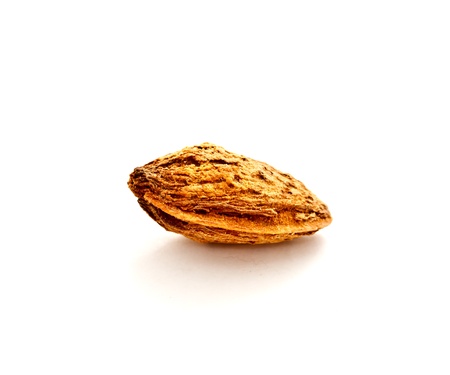 almond nut with shell on white backgroundの写真素材