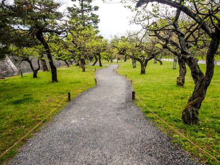 walking path in Japanese gardenの写真素材