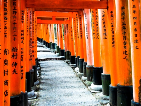 line of Torii gate at Fushimi Inari shrine, Kyoto, Japanのeditorial素材