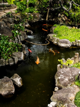 Japanese gardenの写真素材