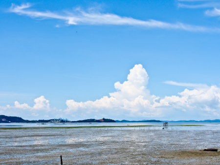 mud beach in Phuket, Thailandの写真素材