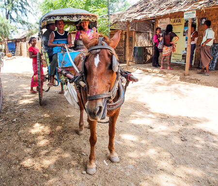 tourists ride horse carriage at Ava ancient city in Myanmarのeditorial素材
