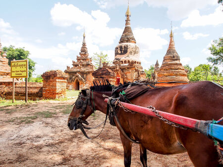 house carriage and Daw Gyan Pagoda complex, Ava, Myanmarの写真素材