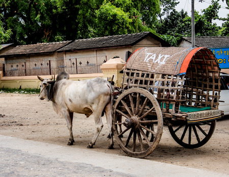 cow carriage taxi in Mandalay, Myanmarのeditorial素材