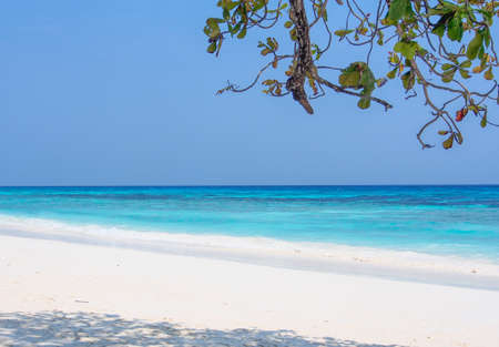 beautiful beach of Tachai island, Thailandの写真素材