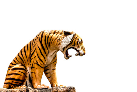 isolated tiger image on white backgroundの写真素材