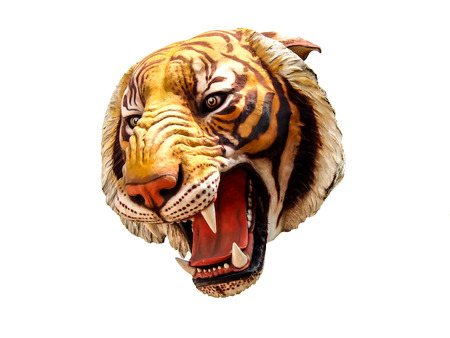 isolated tiger image on white backgroundの写真素材