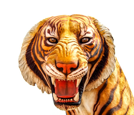 isolated tiger image on white backgroundの写真素材