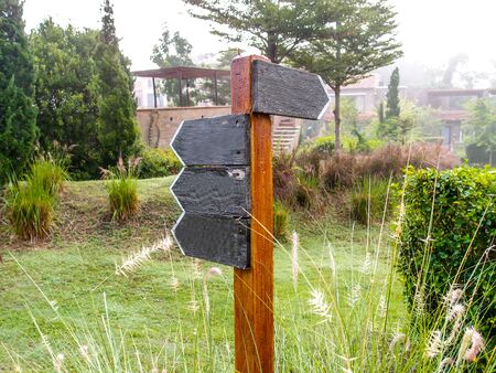 empty wooden direction signboard in a gardenの写真素材
