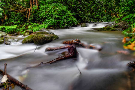 beautiful stream in forestの写真素材