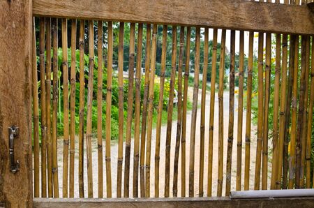 Bamboo door backgroundの写真素材