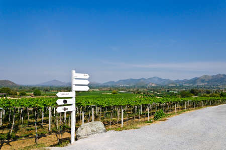 Sign board at Vineyard in huahin, Thailandの写真素材