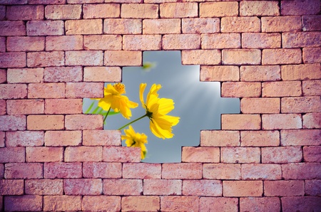 Background of brick wall texture