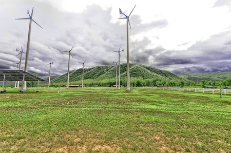 Green grass and wildmill on farm