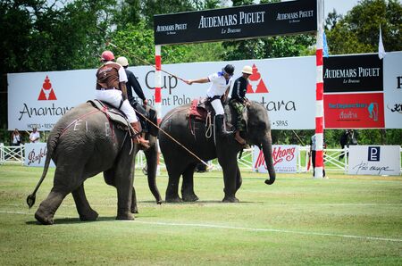 HUA HIN, THAILAND -SEPTEMBER 13: Unidentified polo players play in elephant polo games during the 2012 Kingのeditorial素材
