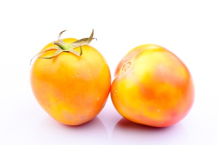 Orange tomatos on white backgroundの写真素材