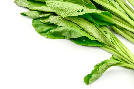 Chinese Kale on white backgroundの写真素材