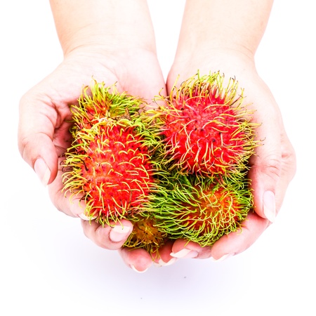 Rambutans on the handの写真素材