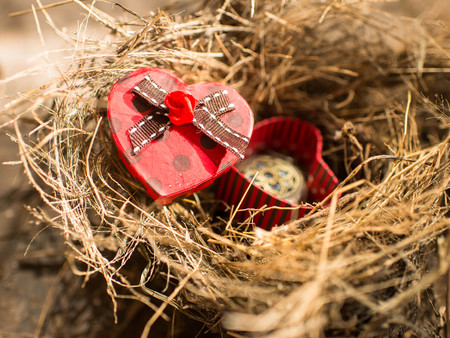 Red heart box in bird's nest, valentine concept.の写真素材