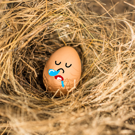 Chicken eggs with sleeping face in the bird nest