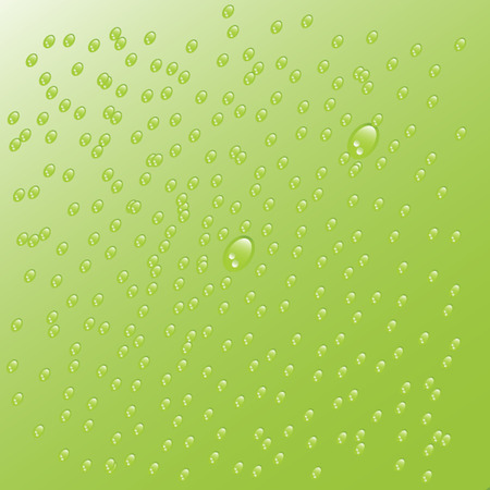 Waterdrops on greenのイラスト素材