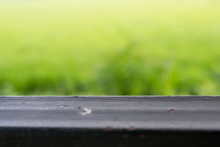 nature abstractの写真素材