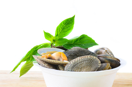 Surf calm and Basil leafs isolated on white.の写真素材