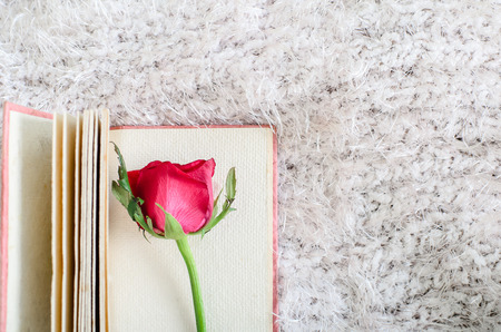Red rose and Pink handmade mulberry paper notebook.の写真素材