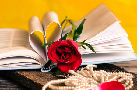 Red rose necklace and  heart shape book with yellow wall, still life.の写真素材