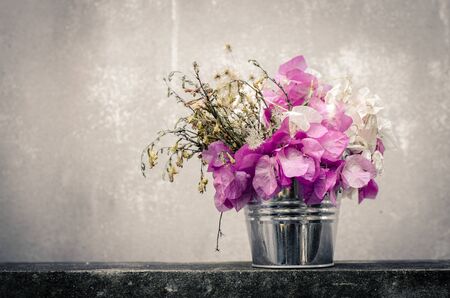 Vintage Dry flowers on aluminium bucket on grunge wall.の写真素材
