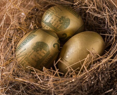 Dollar in golden eggs with nest, wealth concept.の写真素材