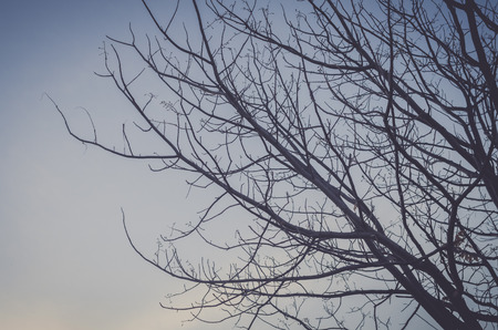 Autumn beauty texture.の写真素材