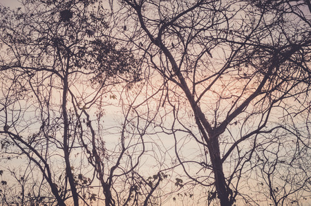 Autumn beauty texture.の写真素材