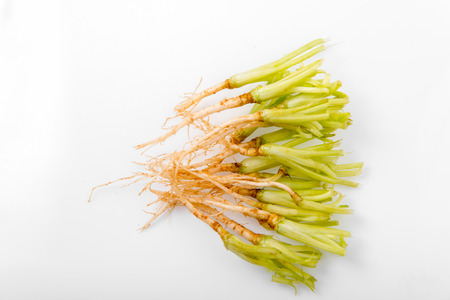 Celery roots isolated on white background
