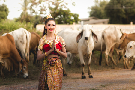 Thai Woman In Traditional Costume Of Thailand with cow farm backgroundの写真素材