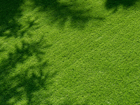 Artificial Grass Field Landscape View with shadow.
