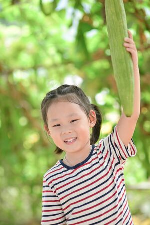 Cute Asian girl harvesting giant Bitter melon from treeの写真素材