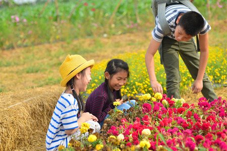 Happy kids harvesting flowers from garden.の写真素材