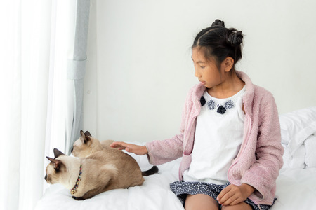 Asian girl touching her cats and they are looking out window.の写真素材
