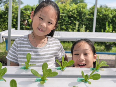 Happy Asian children enjoy in yydroponics system greenhouse  ,food and agriculture concept