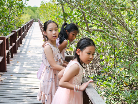 Happy girls travelling at mangrove forest in sunny day.の写真素材