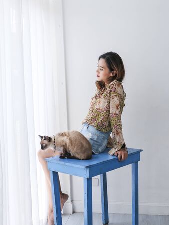 Asian woman and her cat with window light at home.の写真素材