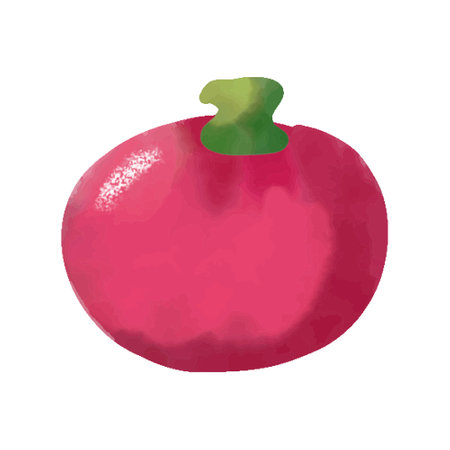 pomegranate watercolor on a white background, vector illustrationのイラスト素材