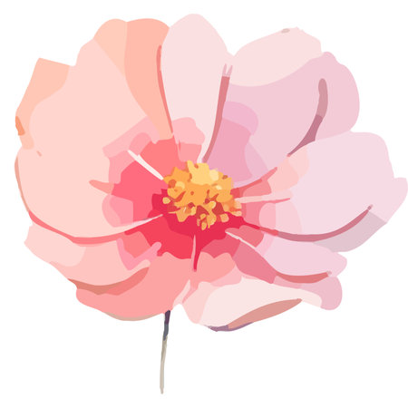 Beautiful pink flower on a white background. Vector illustration in watercolor style.のイラスト素材