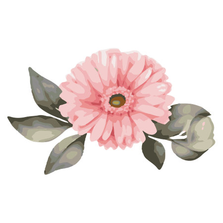 Pink gerbera flower bouquet isolated on white background. Vector illustration.のイラスト素材
