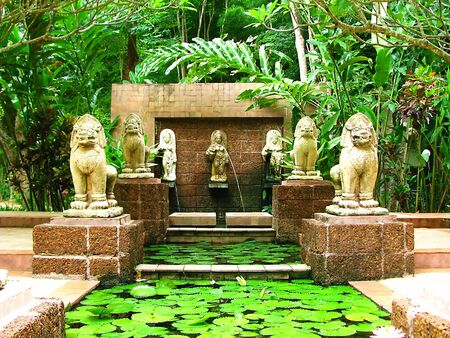tropical gardenの写真素材