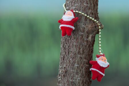 Santa Clause figurine on the treeの写真素材