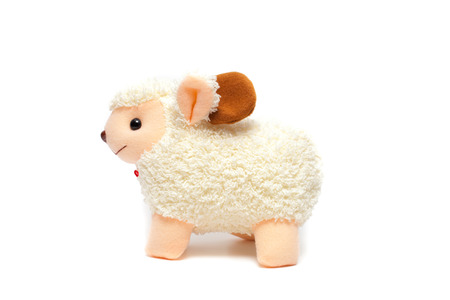 White goat or sheep toy the chinese symbol of 2015 year on white backgroundの写真素材