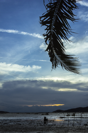 Sunset view and Sea water reduce.の写真素材